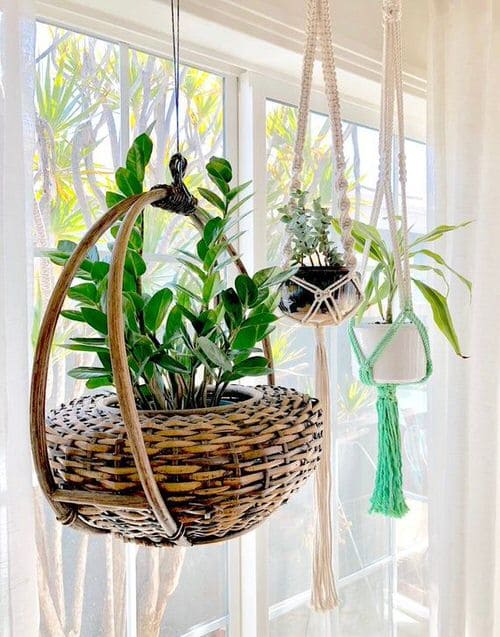 18 unique hanging basket ideas for your houseplant - 83
