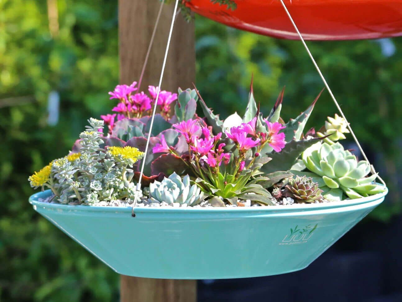 25 fascinating ideas to build a hanging mini succulent garden - 85