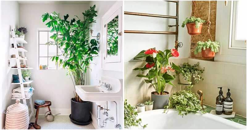 16 Stunning Bathroom Garden Ideas