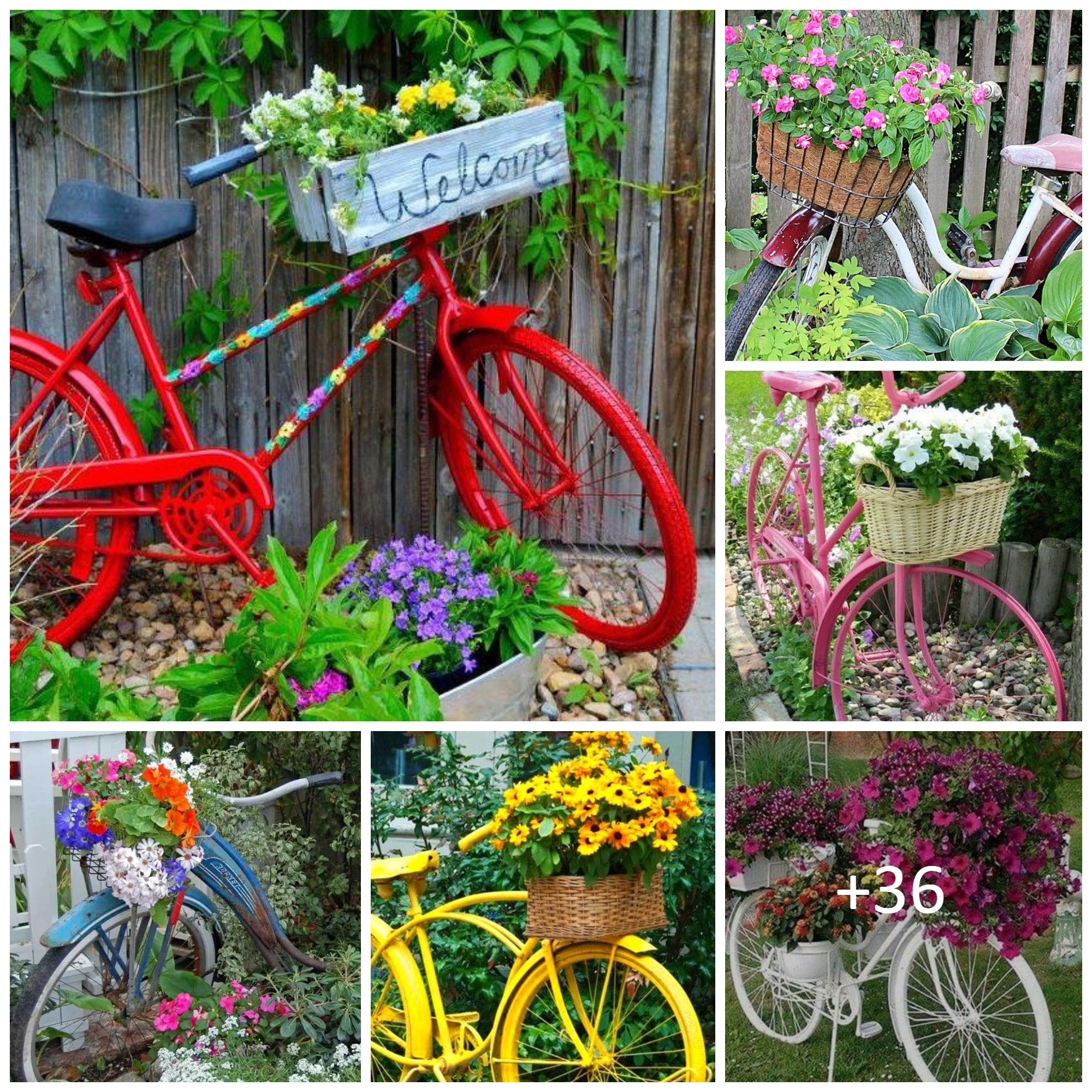 Cute Bicycle Planters