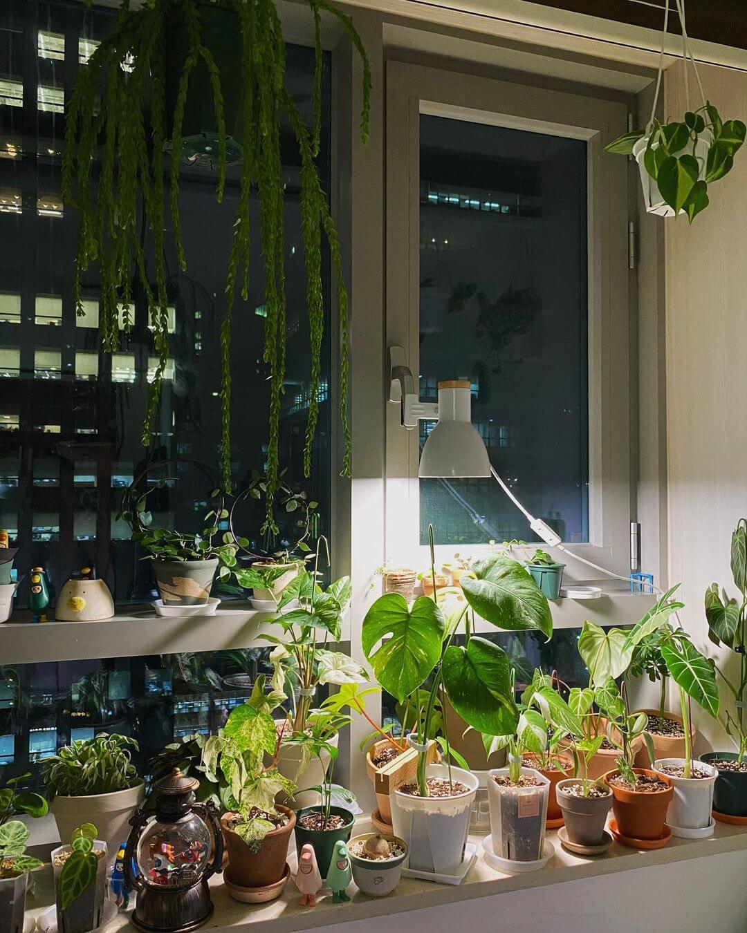 35 best window garden and landscape ideas - 235