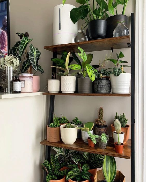 28 beautiful plant shelves for your home - 113