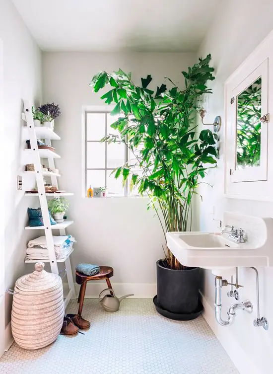 16 Stunning Bathroom Garden Ideas - 67