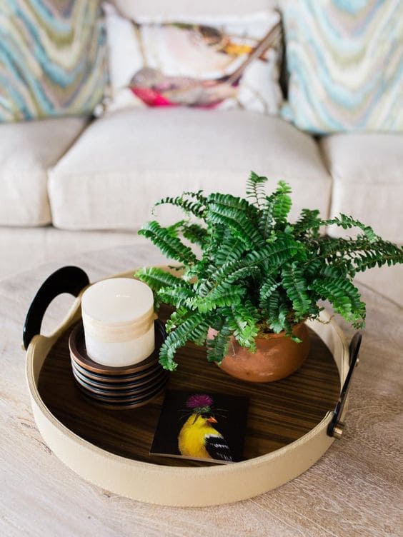 21 best ideas to decorate the house with ferns - 145
