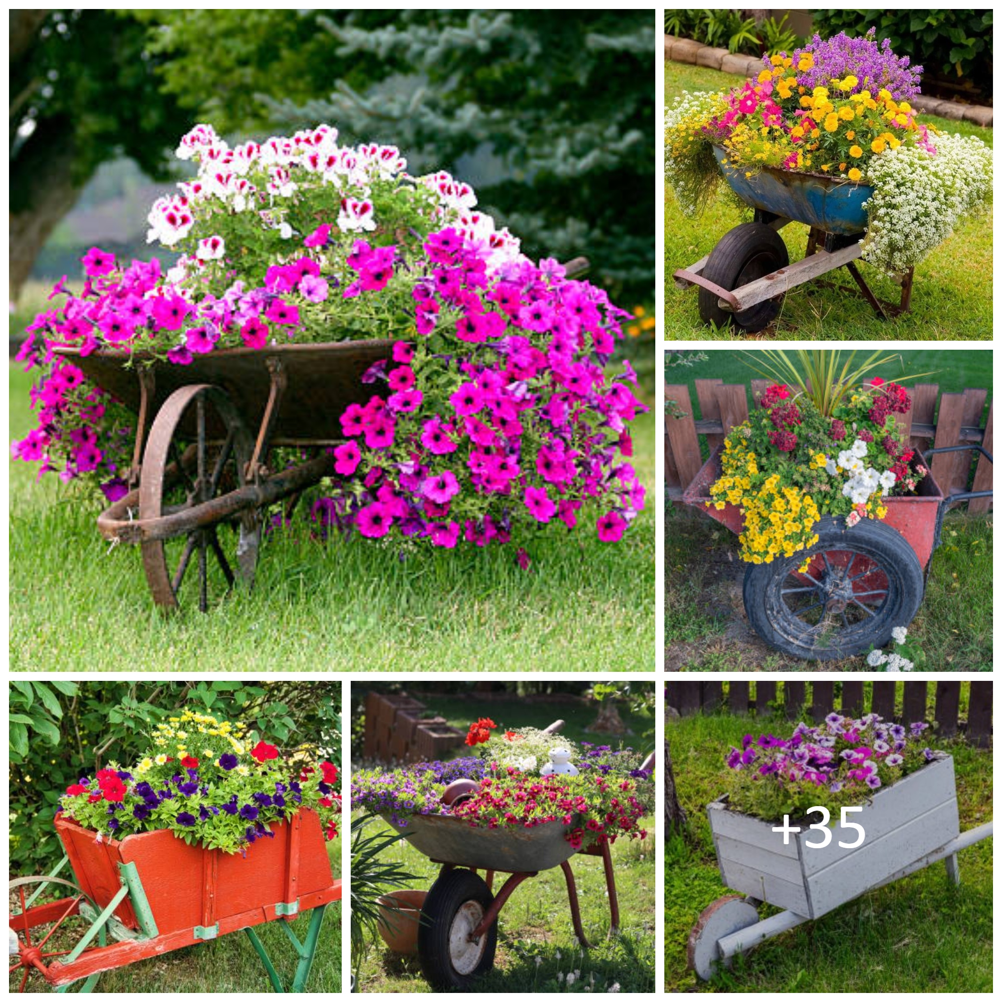 Beautiful Plant Combination Ideas For Container Garden