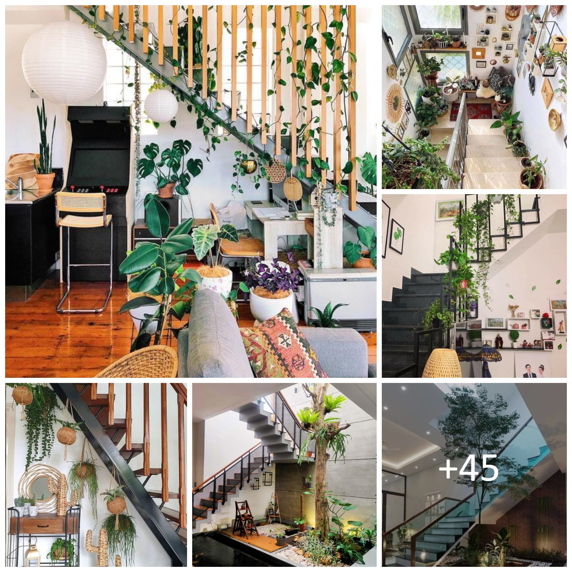 Amazing Indoor Plants In Under The Stairs