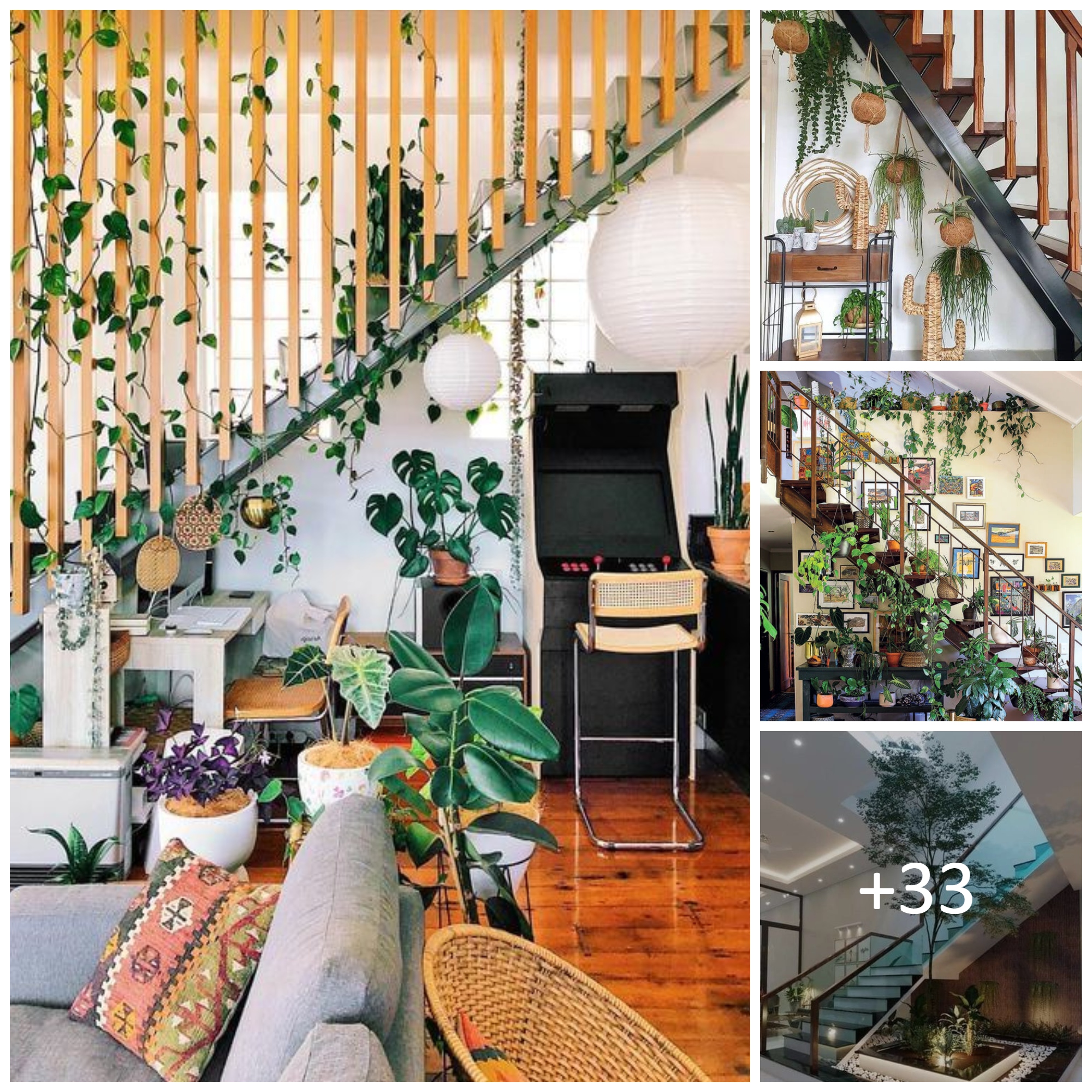 Beautiful Indoor Plants In Under The Stairs