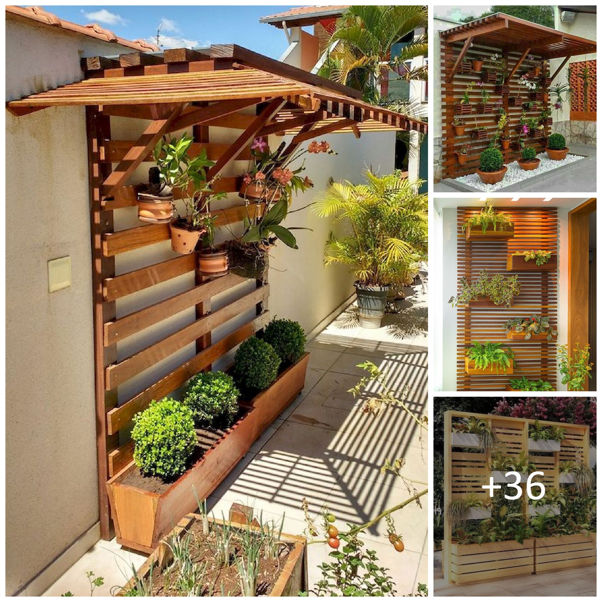 Vertical Garden Ideas to Show off Your Green Thumb