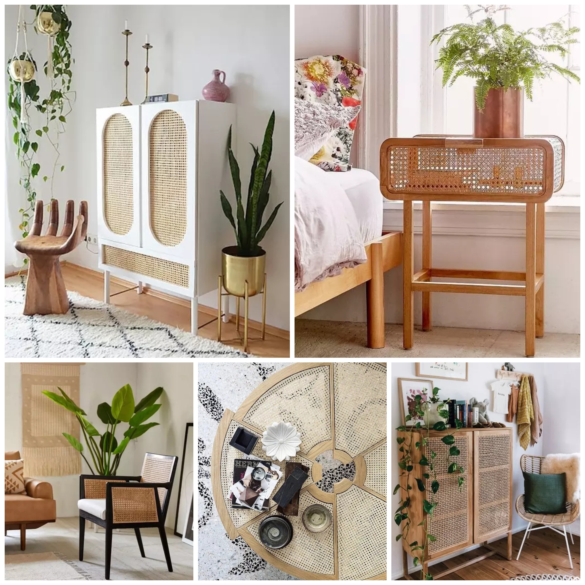 Elegant Cane Furniture Ideas